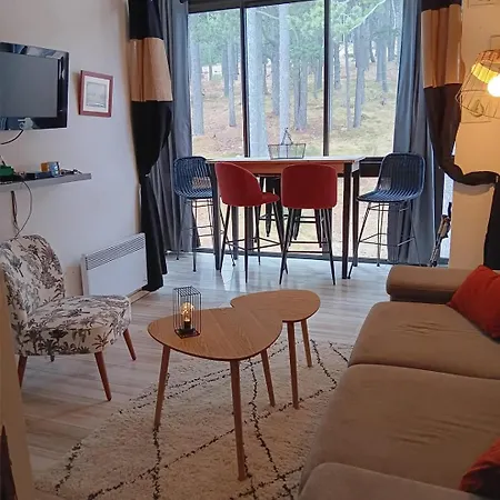 Appt Pied Des Pistes Eyne