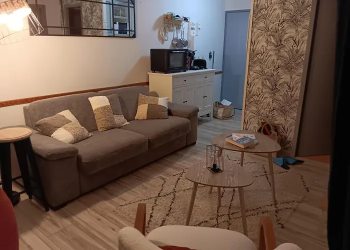 Appt Pied Des Pistes Apartment *