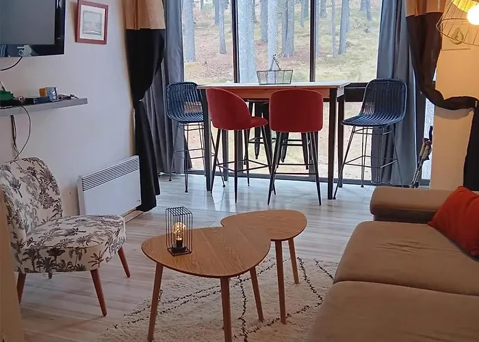 Appt Pied Des Pistes Eyne